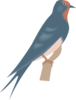 Perched Swallow Clip Art